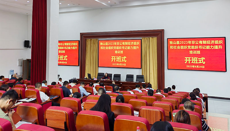 新奥2024免费资料